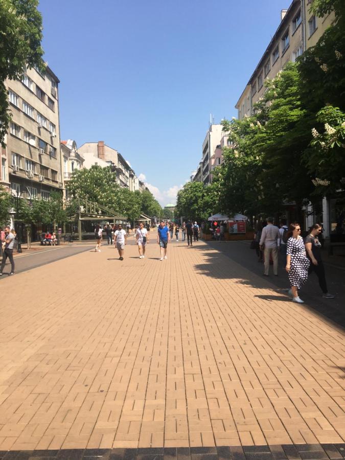 Evergreen Sofia Apartment Εξωτερικό φωτογραφία